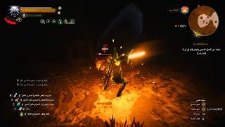 The Witcher 3 Manticore Witcher Gear Damage