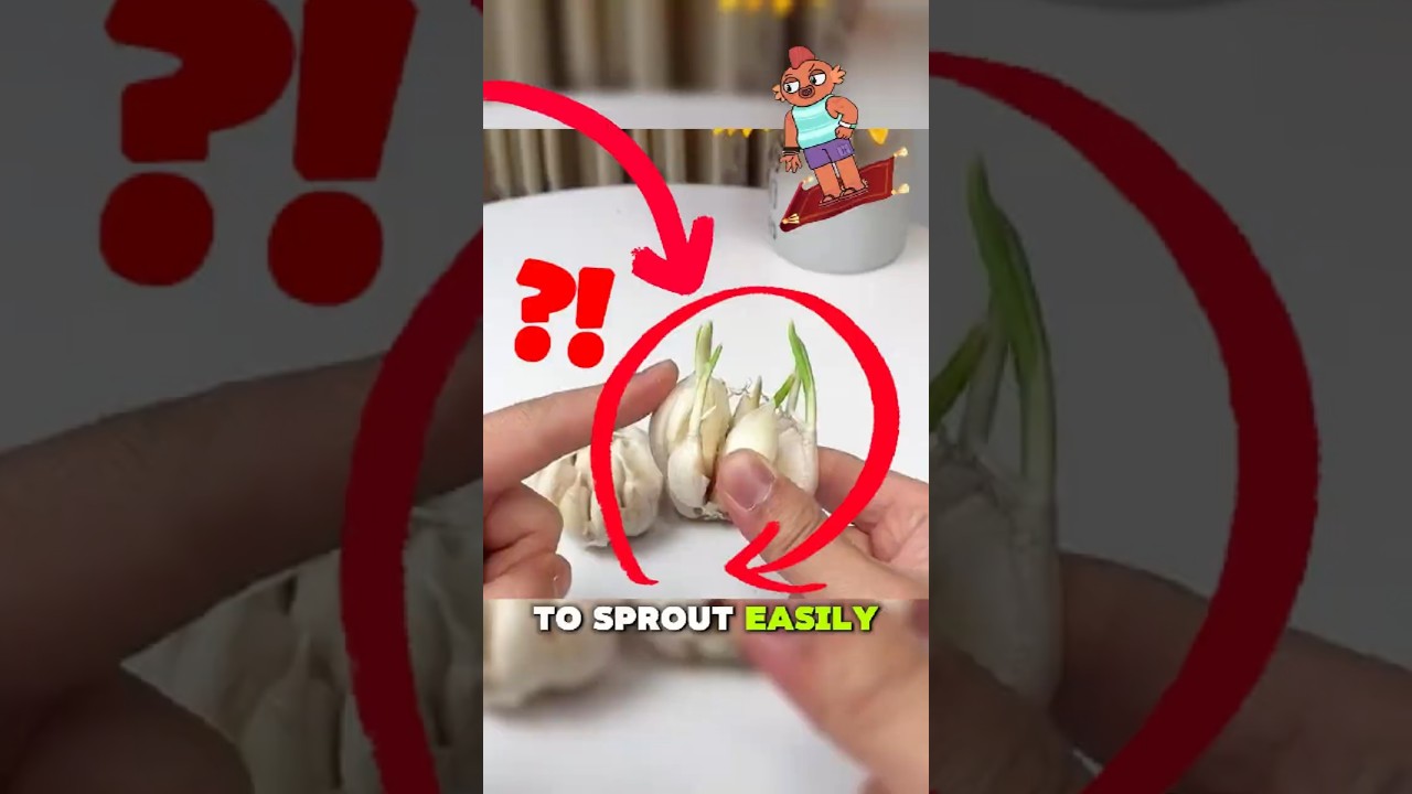 ⁣10 Food Storage Secrets Vendors Won’t Tell You!