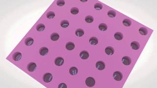 Digital Pcr Rare Allele Applications With Quantstudio 3D Digital Pcr System