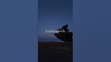 سورة الفيل بصوت فارس عباد 🌱 #المصحف