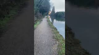 Download Lagu Sunrise in early morning during my walk beside the canal \u0026 birds singing MP3