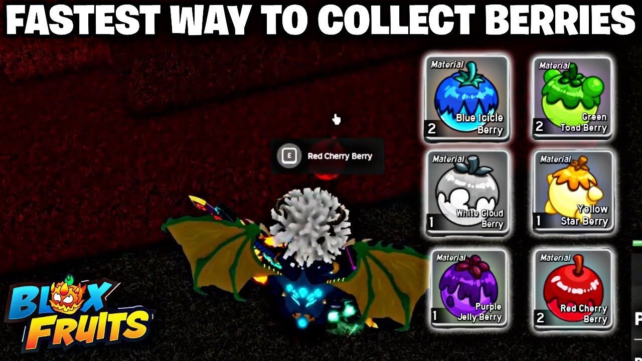 berryberry様 リクエスト 6点 まとめ商品 How To Get Berries FAST in Blox Fruits! Best Way to Get All
