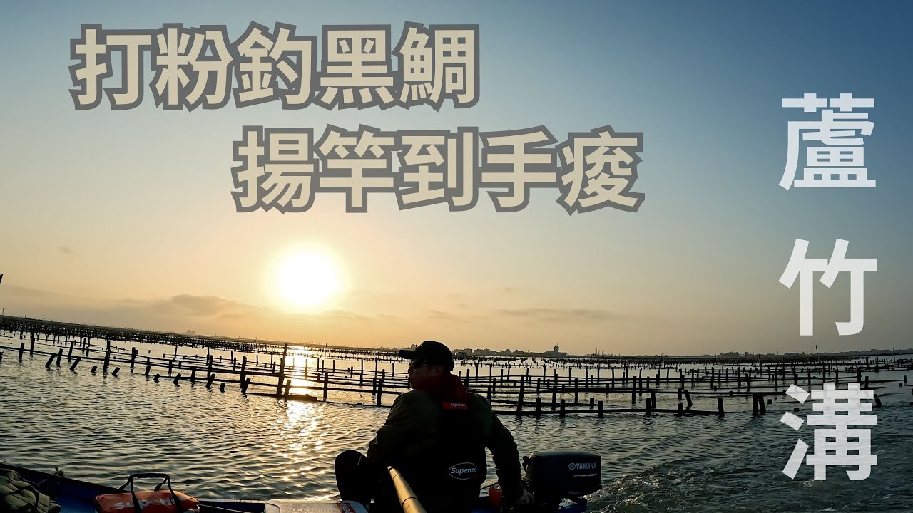 黑鯛愛粉味?首次蚵棚筏釣打粉(ASA)揚竿到手好酸! #腫哥 #筏釣 #黑鯛 #蘆竹溝