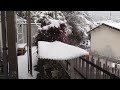 Esta Nevando muito Japão