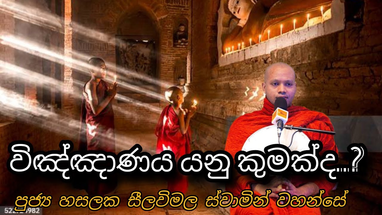 What is consciousness?#58 විඤ්ඤාණය යනු කුමක්ද.. REV HASALAKA SEELAWIMALA THERO