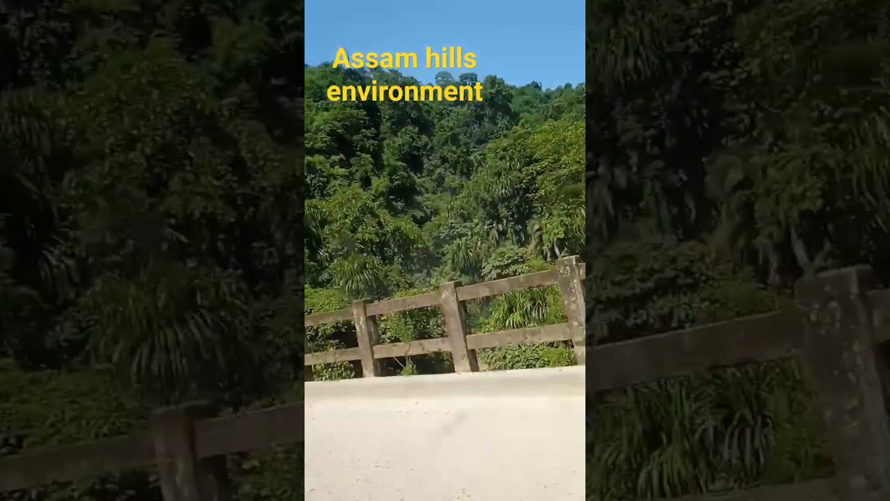 Assam environment hills