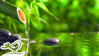 Peaceful Spa Radio 💦 Water Sounds &amp; Relaxing Music 24/7
