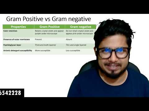 Video: Was ist Gram +ve und Gram?