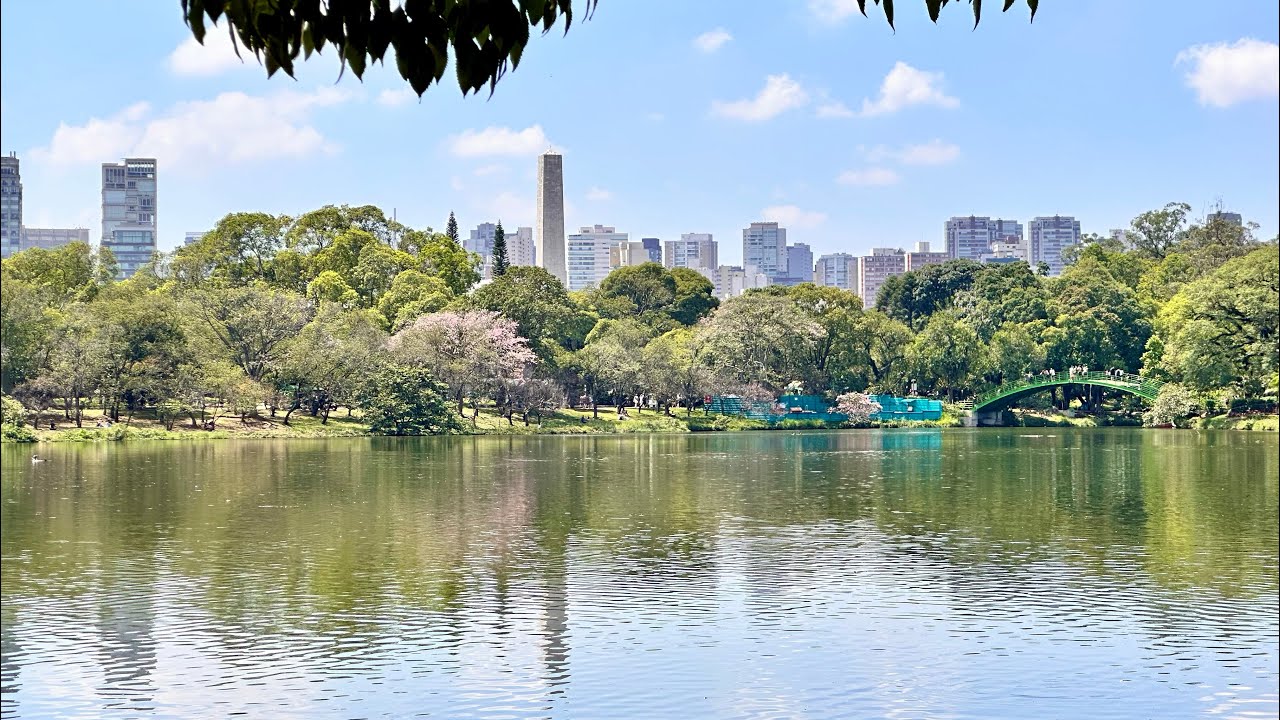 São Paulo🇧🇷South America Trip Day 10 Unedited Video Brazil Ibirapuera Park Jardineira Grill 20250321