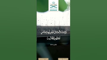 تلاوة عطرة ما تيسر من سورة الحشر بصوت القارئ:د. عمرو الضالعي الأحمدي.#قناة_عدن_للقرآن_الكريم
