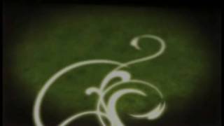 Evolution Videocopilot