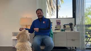 Mollie and Skipper's Roadmap to Success by DGP Dog Behavior Videos 54 views 3 months ago 21 minutes