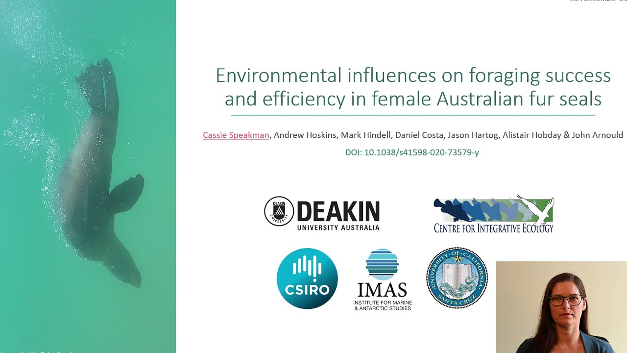 Cassie Speakman ESA 2020 Australian fur seal foraging behaviour