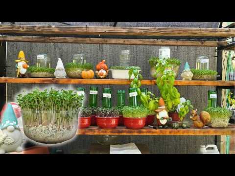 Shocking Results of Growing in Gravel