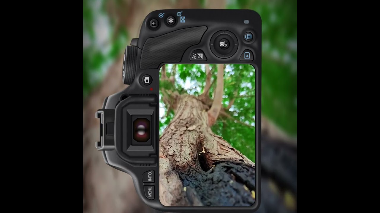 Slow Motion 240fps | DSLR 