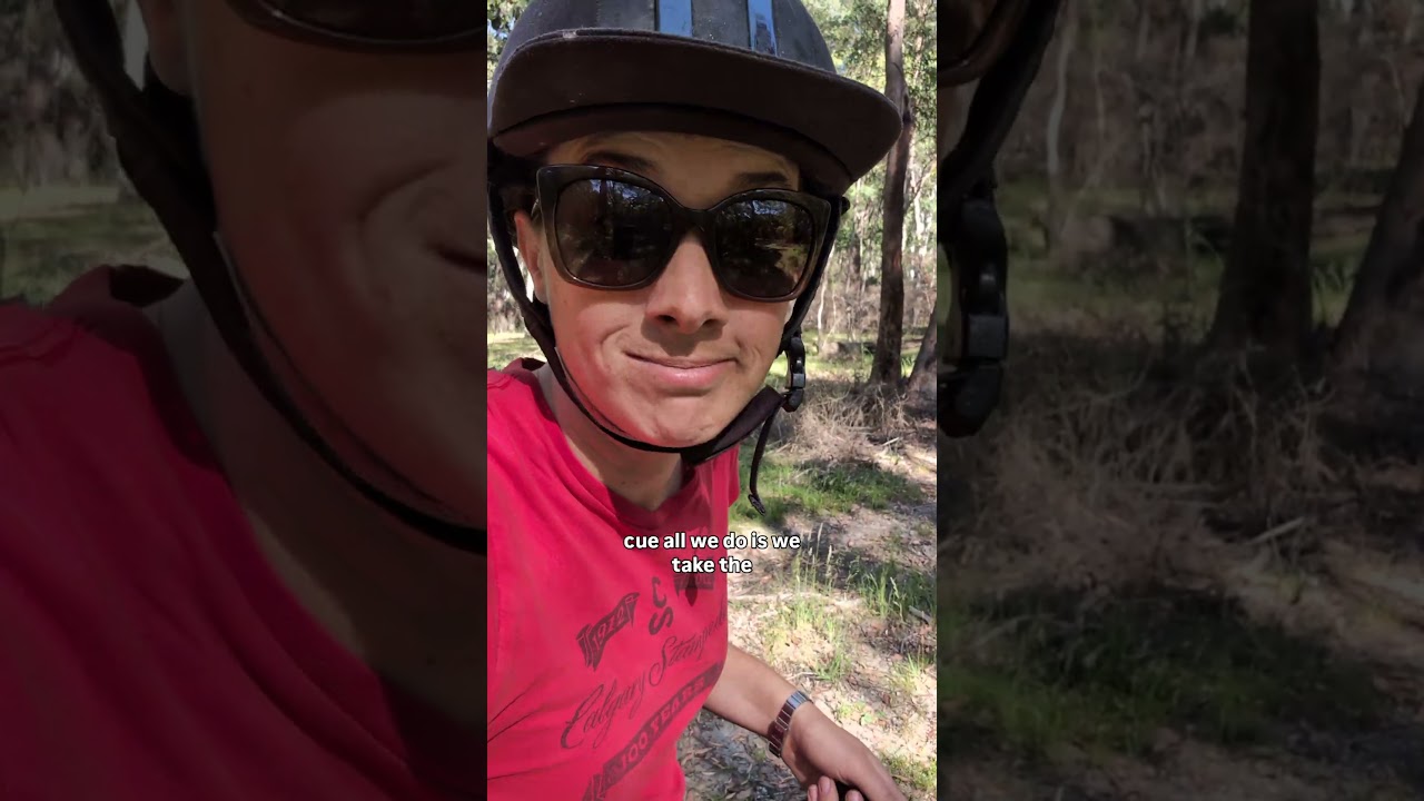 Помогаем мистеру Вузи стать смелым ведущим конем! Не стоит зацикливаться на пне! 