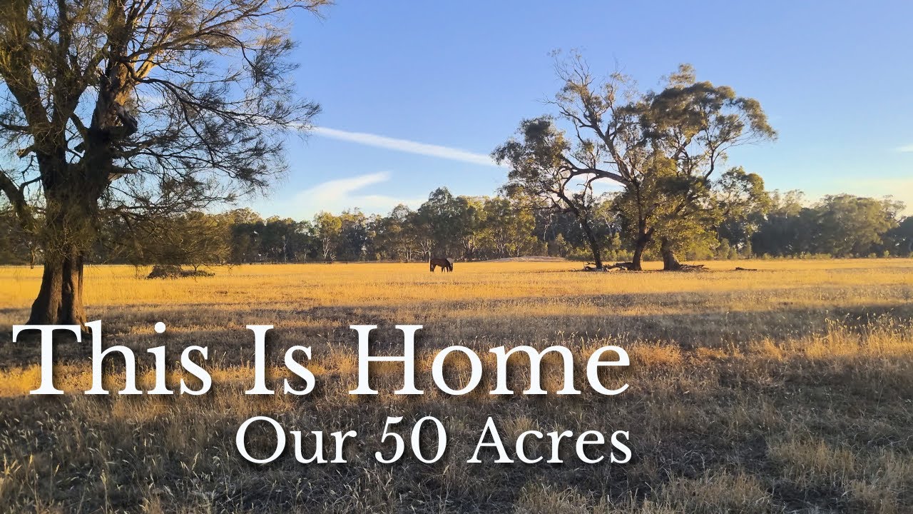 We Bought 50 Acres… This Is Home Now