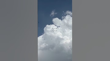 #اكسبلور_explore #اكسبلور #قرآن #تلاوة_خاشعة #quran #quotes #reels #explore #edit #like #المنشاوي