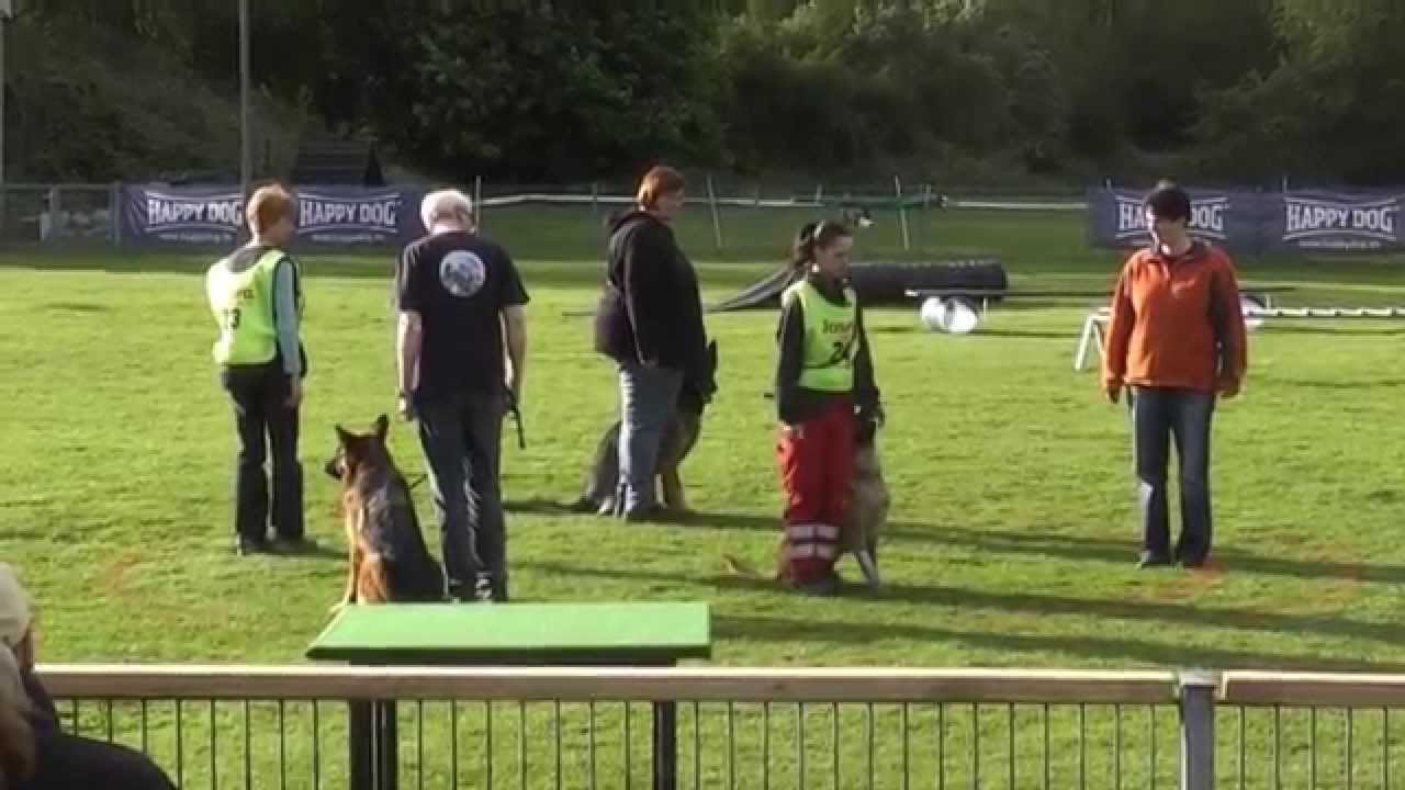 Malinois Jaleo vom Herrenberger Schloss - 11 - Highlights 2012