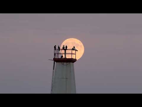 October 6, 2025 Harvest Moon