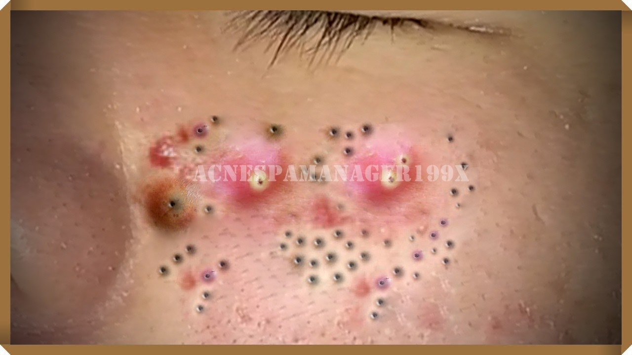 كل يوم هو حياة جديدة جيدة #1575