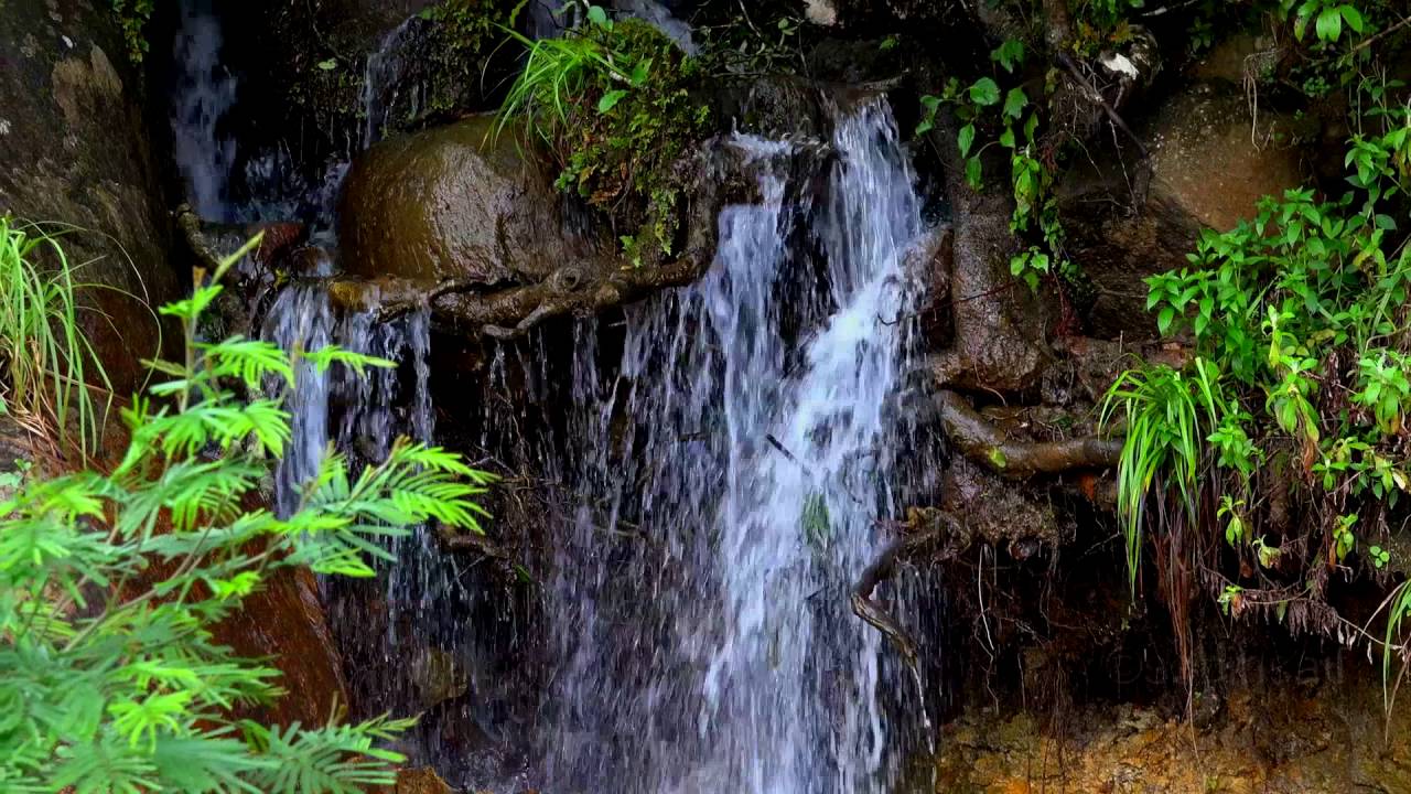 The Travelogue Series - Munnar Full Episode