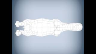 Rhino Base Mesh 3D model from CGTrader.com Rhino Base Mesh 3D model from CGTrader.com