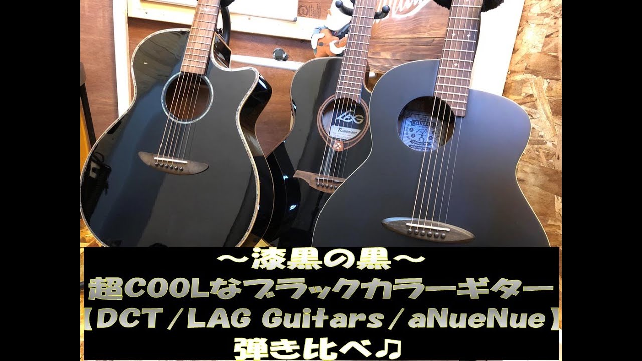 LAG アコースティックギター ブラック 楽天市場】【新品】ラグギターズ LAG Guitars T-118ACE BLK