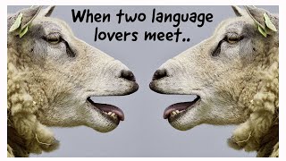 A unique interaction between two polyglots