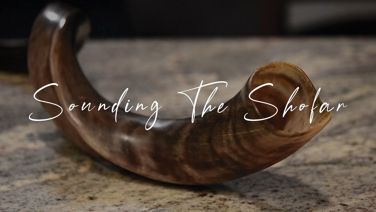 Sounding The Shofar Prophecy Update 06/23/20 YouTube