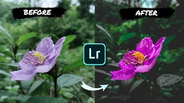 Moody flower Editing Tutorial | Lightroom color grading tutorial | Lightroom presets
