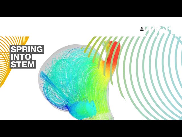 Watch Computational modelling: the heart of the matter | Spring Into STEM on YouTube.