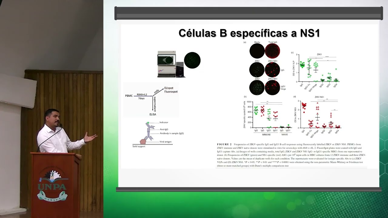 ADCC mediada por anticuerpos anti NS1 en la inmunidad frente a flavivirus | SIMPOSIO