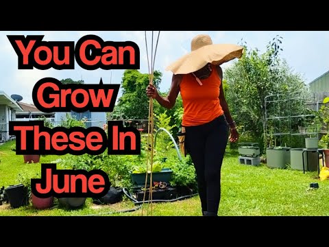 You Can Grow These In June‼️