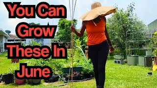 You Can Grow These In June‼️