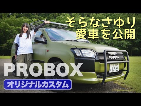 あきぴ プロボックス20% あきぴ様専用 プロボックス20%