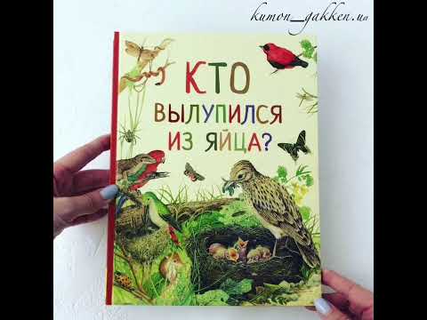 Видеообзор книги Кто вылупился из яйца?