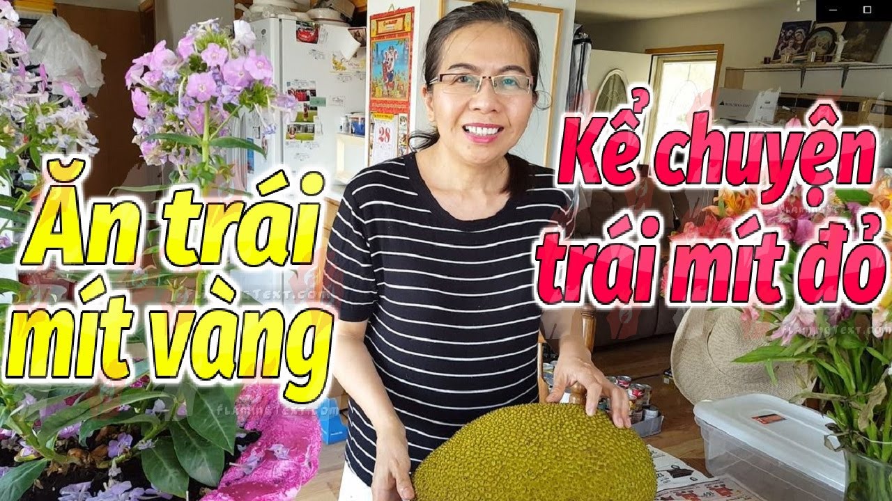 Ăn mít nói về trái mít đỏ gian dối - youtube