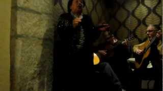 Maria Fernanda Mota Fado, No Café G Z , Na Rua De Antero De Quental, Nº 9 Porto