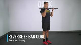 Reverse EZ Bar Curl - OPEX Exercise Library