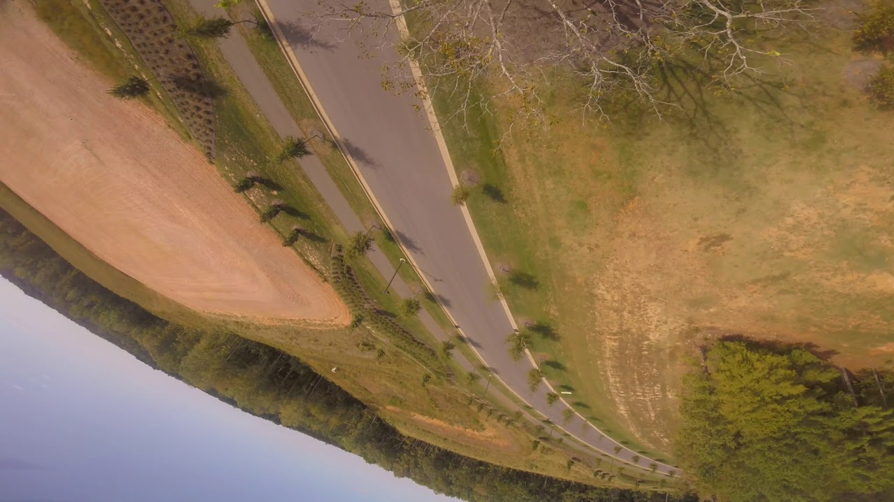 Freestyle 5" inch ImpulseRC alien fpv drone on 6's