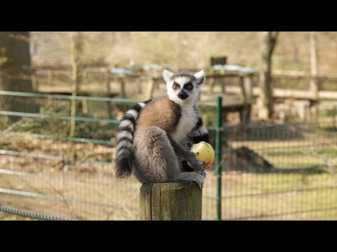 frühjahrsputz-im-zoo-schwerin