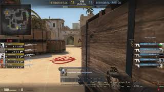 Csgo The Real Pink Panther D