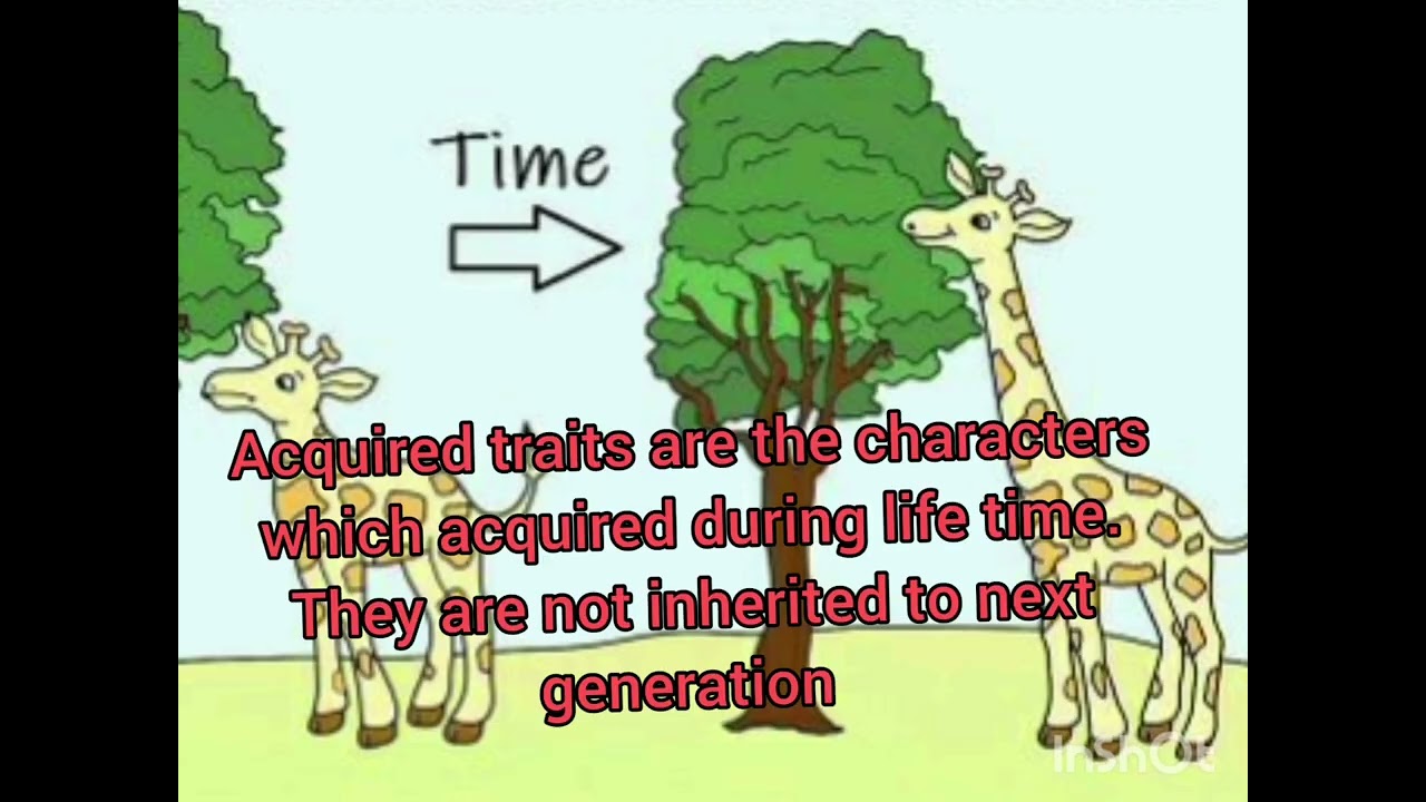 NCERT TEXT BOOK. Std. X. HEREDITY AND EVOLUTION. Questions and Answers.