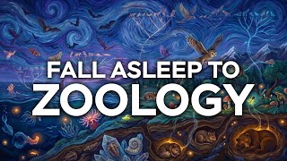 Fall Asleep Learning Zoology | 2 Hour Sleep-Friendly Science Lecture screenshot 2