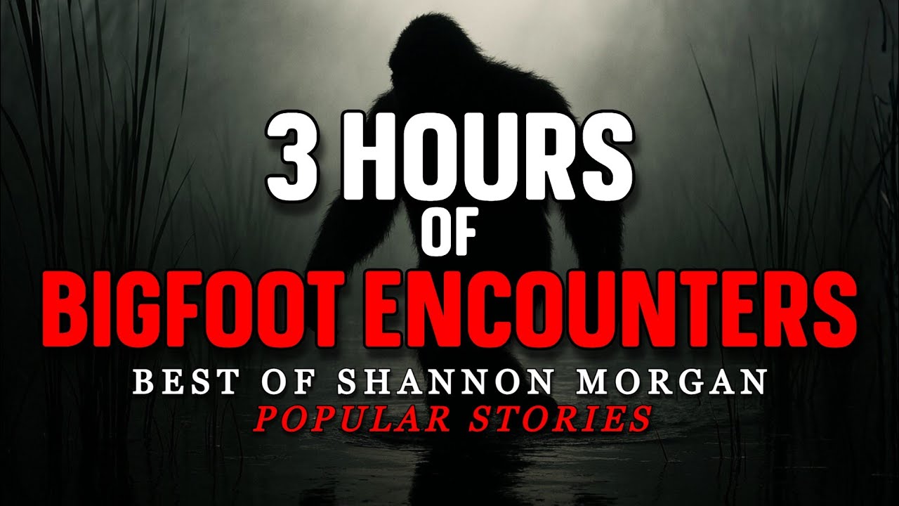 3 HOURS OF BIGFOOT : Best of Shannon Morgan - Popular Stories