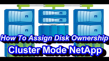 How To Assign Disk Ownership In Netapp Cluster Mode