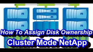 How To Assign Disk Ownership In Netapp Cluster Mode
