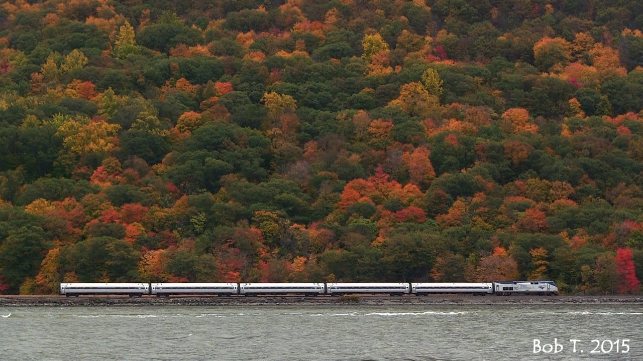 A Day at Mine Dock Park 10/24/15