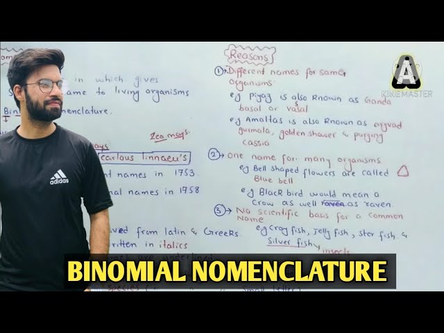 Binomial Nomenclature Binomial Nomenclature Class 11 Binomial Nomenclature In Hindi And Urdu Youtube